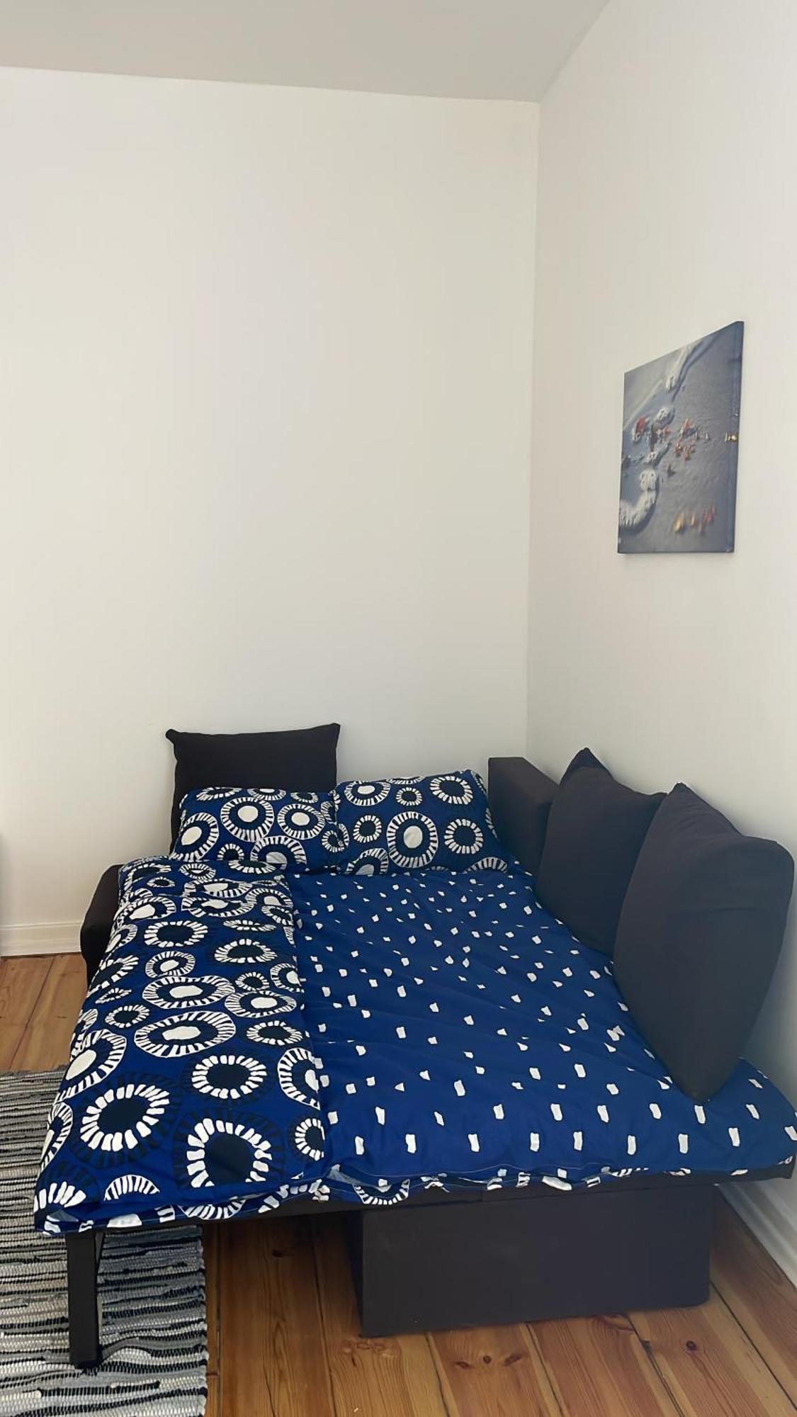 Spacious Ausekla Appartement Liepāja